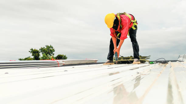 Best Sheet Metal Roofing  in Kalida, OH