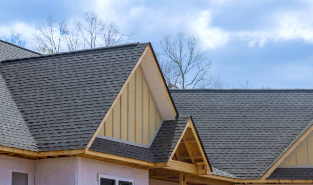 Best Roof Maintenance and Cleaning  in Kalida, OH